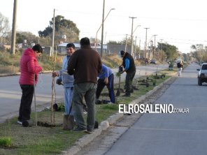 Vecinos embellecen el ingreso a la ciudad con árboles y plantas 