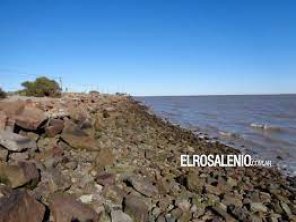 Solicitan informe al Municipio y a Puerto Rosales tras anuncios de extracción del molusco