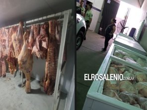 Secuestraron 4 toneladas de carne en un frigorífico clandestino