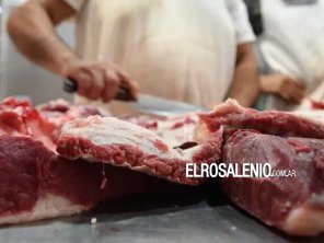 “No se vende”: por la crisis, el consumo de carne vacuna cayó un 9,3% y se espera otro derrumbe